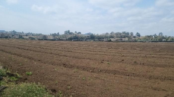 소재지2(세화리