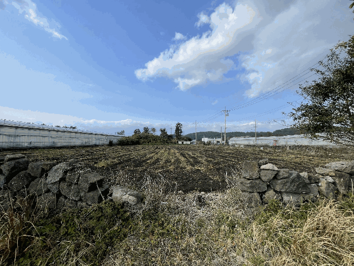 본건 전경
(촬영위치 : 본건 남측)