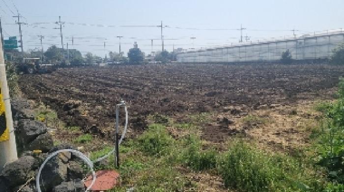 소재지1(세화리 303-1) 전경1