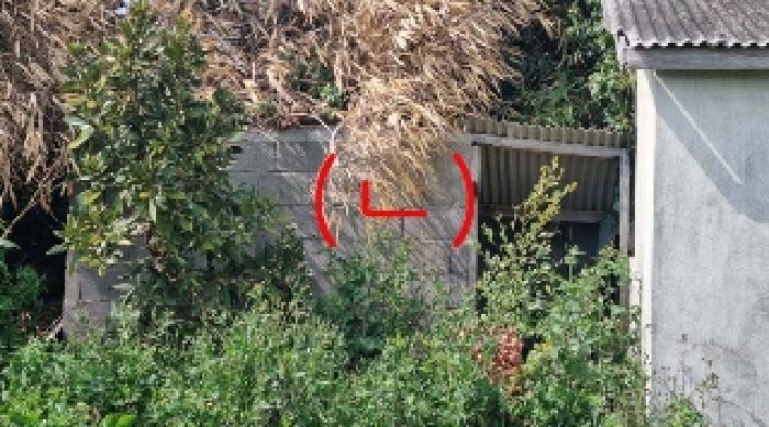 소재지1(세화리 303-1) 지상에 소재한 제시외 건물(ㄴ)