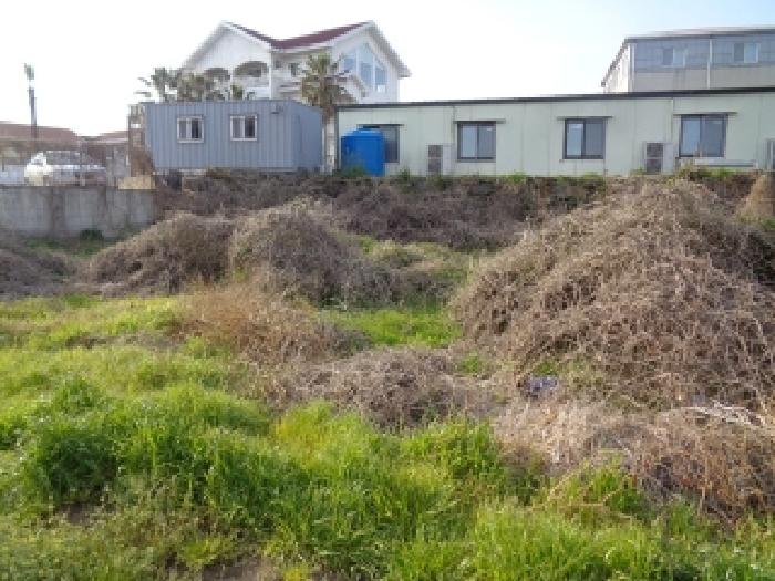 소재지 1.(용담삼동 1027) 전경