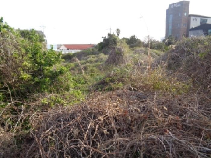 소재지 3.(용담삼동 1034-36) 전경