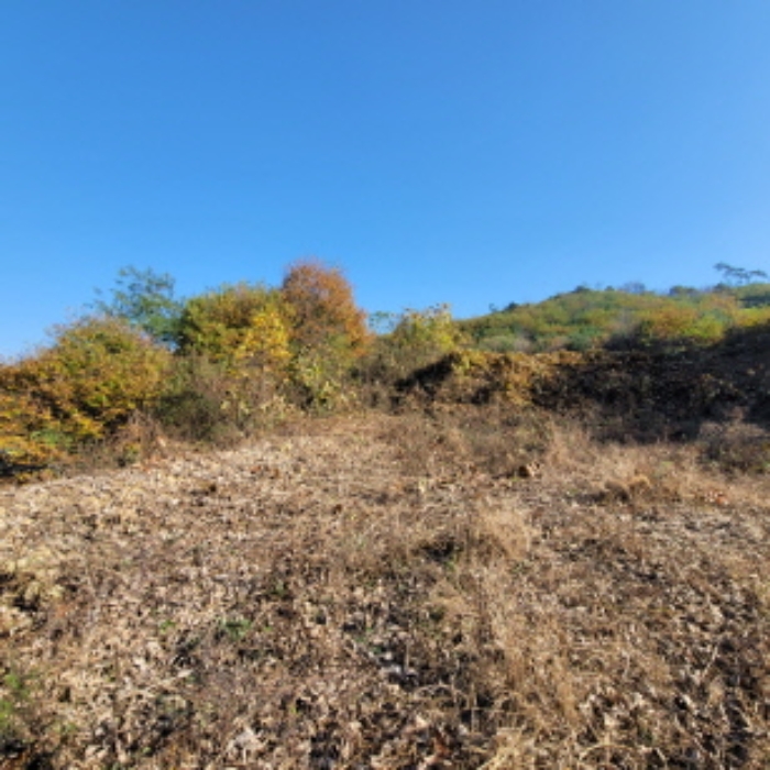 목록1 토지 전경