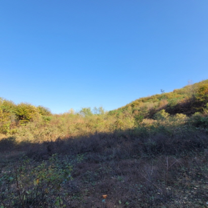 목록4 토지 전경