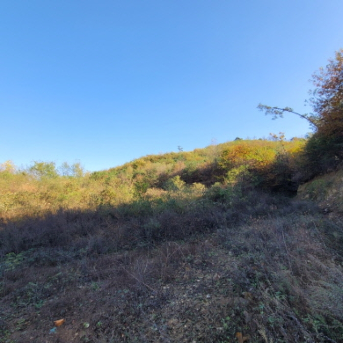 목록4 토지 전경