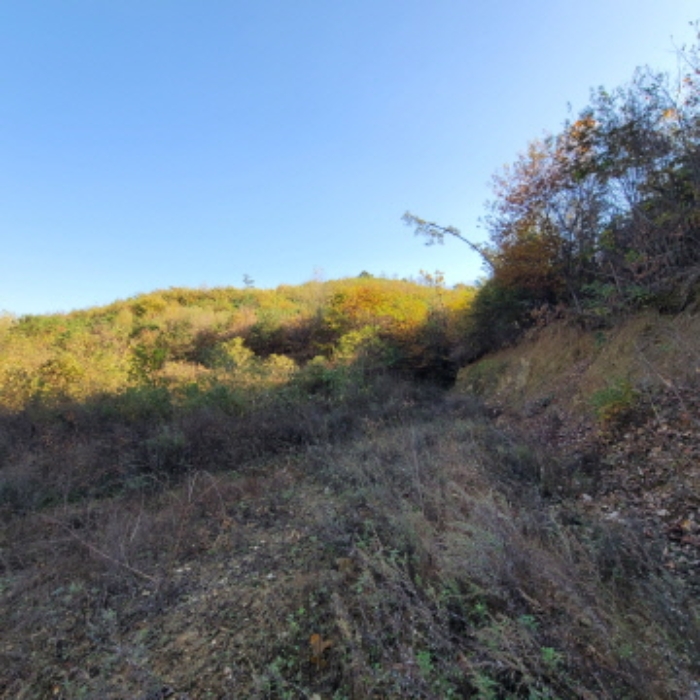 목록4 토지 전경