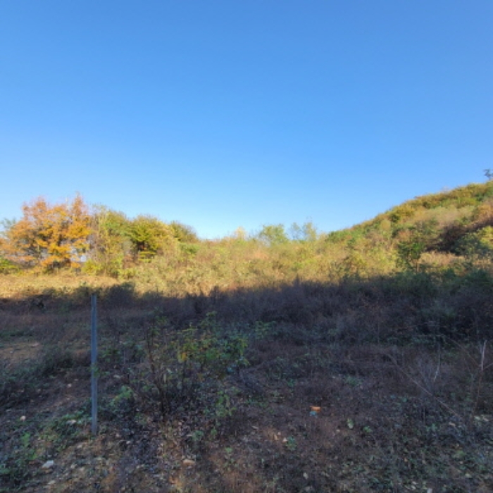 목록4 토지 전경