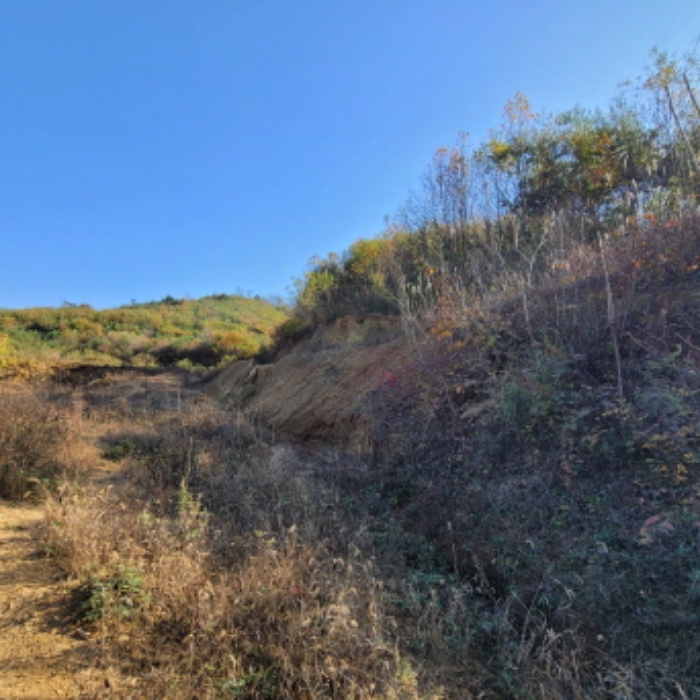 목록3 토지 전경