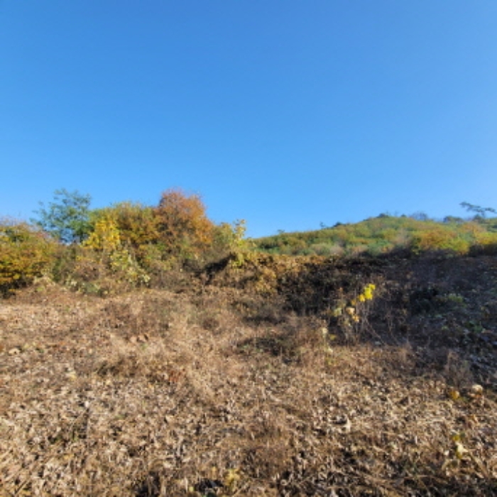 목록1 토지 전경