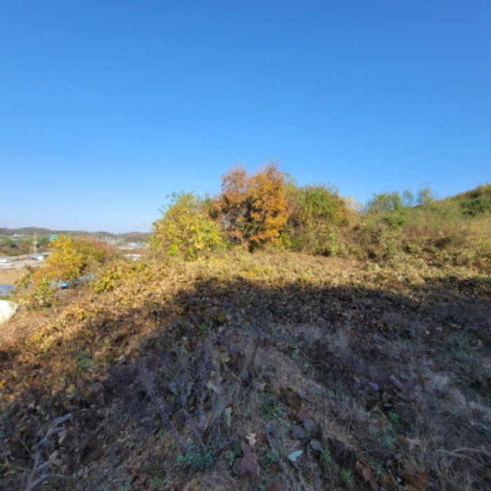 목록1 토지 전경