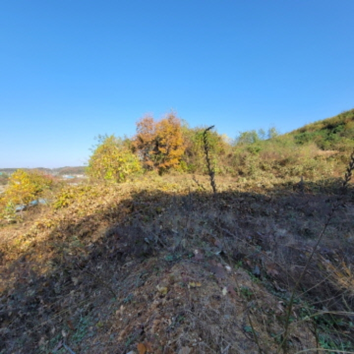 목록1 토지 전경