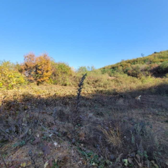 목록2 토지 전경