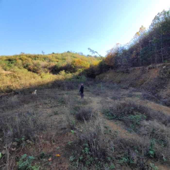 목록2 토지 전경