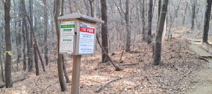 목록3 임야 전경(2)