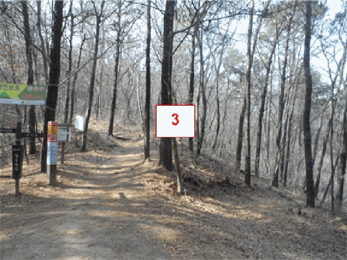 본건전경(기호3)//남동측 촬영