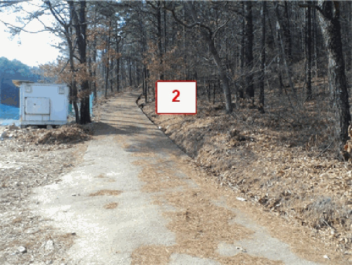 본건전경(기호2 임도부분)//남동측 촬영