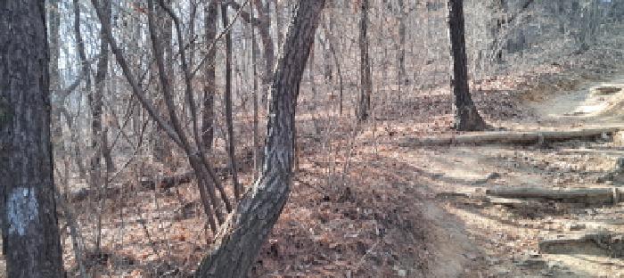 목록1 임야 전경(3)