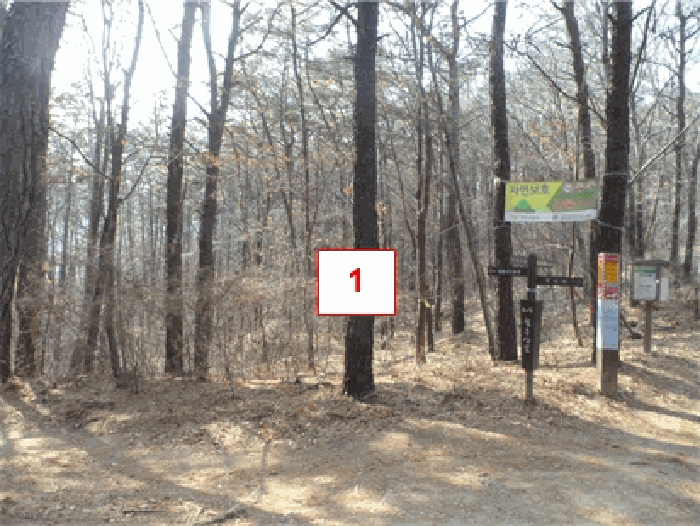 본건전경(기호1)//남동측 촬영