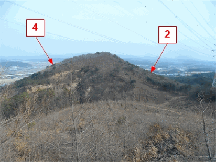 감정서 표지사진