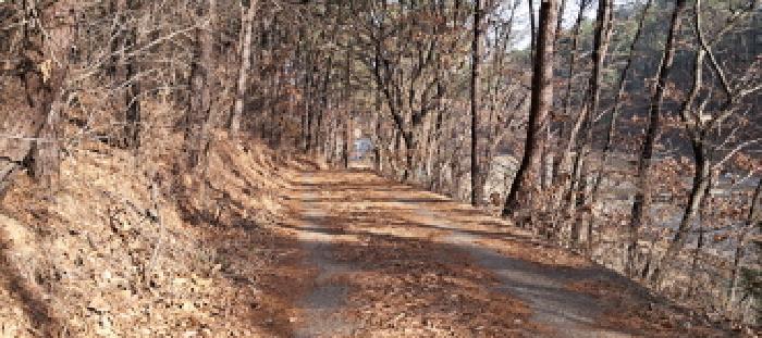 목록2 임도 전경