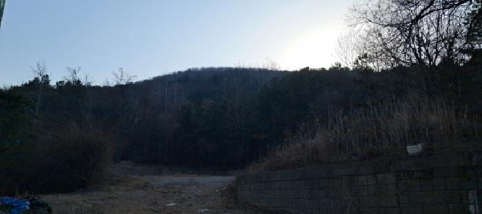 목록4 임야 전경(1)