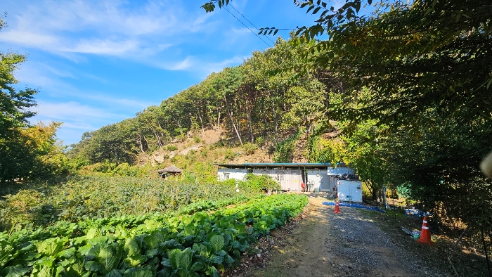 남측부분