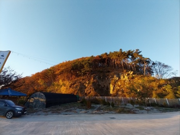 본건
