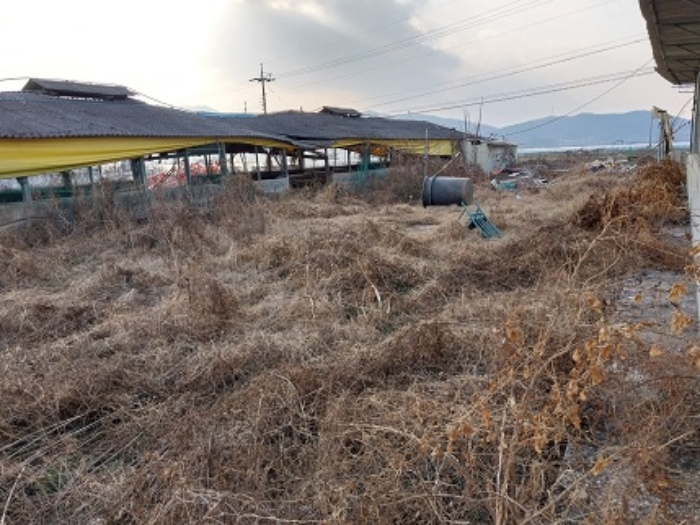 목록4번 멸실 부분