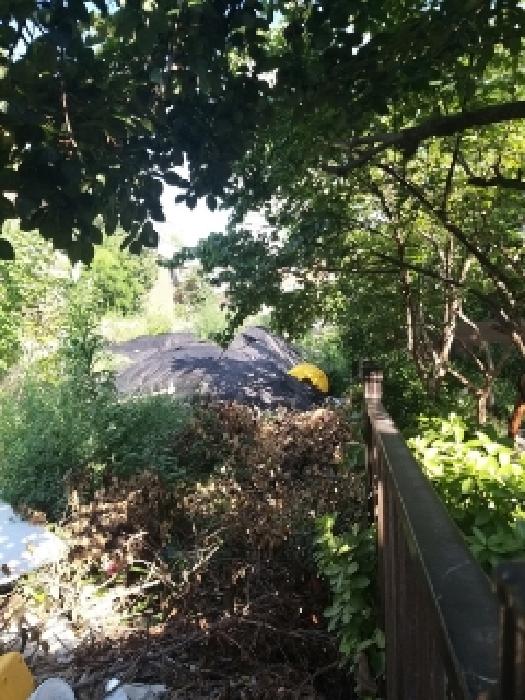 뒷편 펜스에서 건물이 철거된 현황을 촬영함