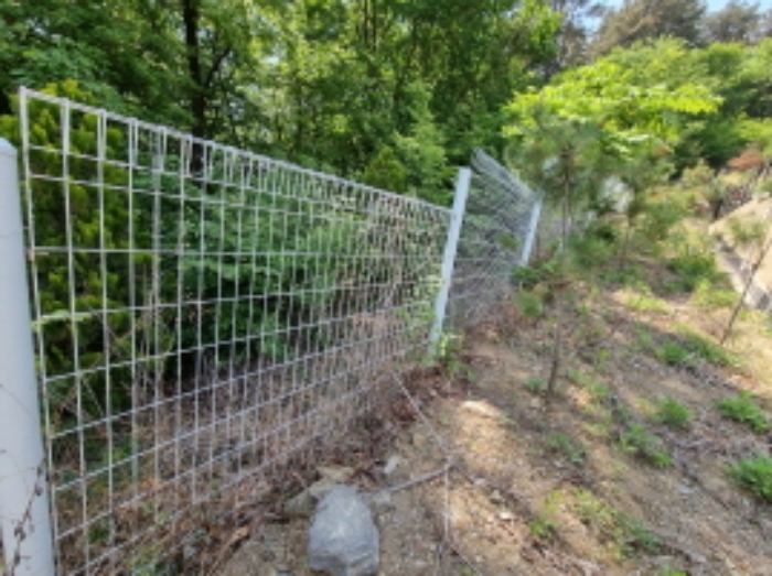 일부 철망경계막