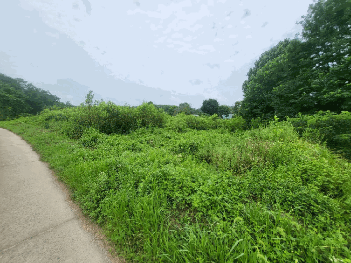 기호 1 전경