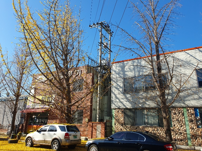 본건 북동측 전경 (기계기구3)