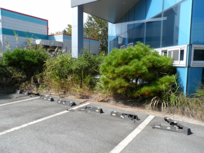 제시외 건물(수목) ㄴ