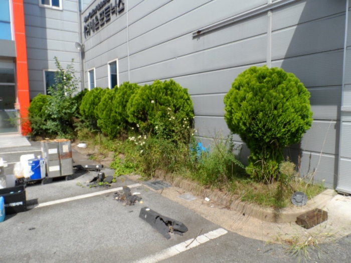 제시외 건물(수목) ㄴ