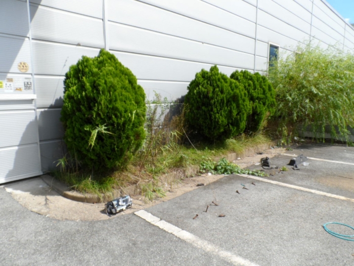 제시외 건물(수목) ㄴ