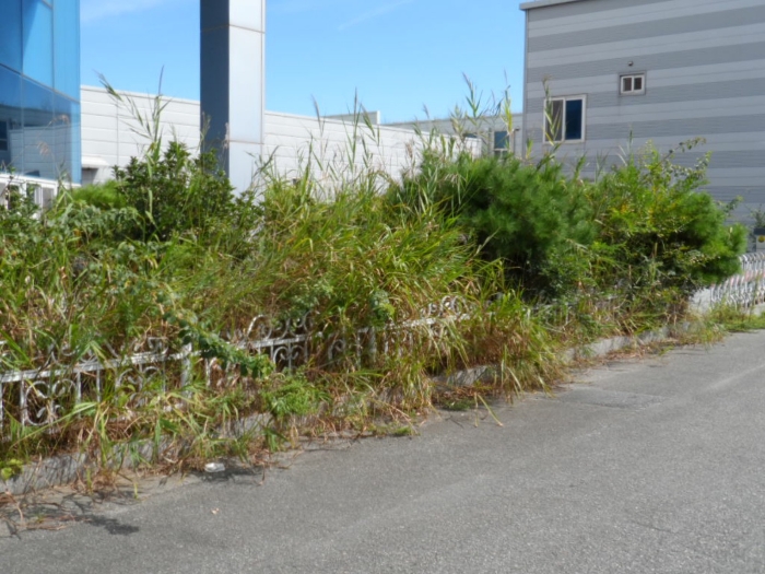 제시외 건물(수목) ㄴ