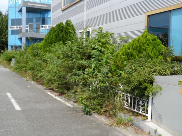 제시외 건물(수목) ㄴ