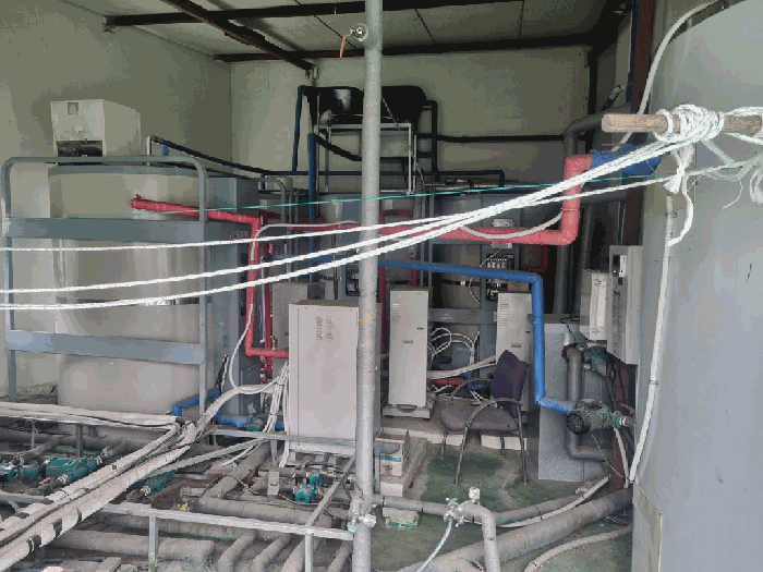 제시외건물(ㄱ) 내부