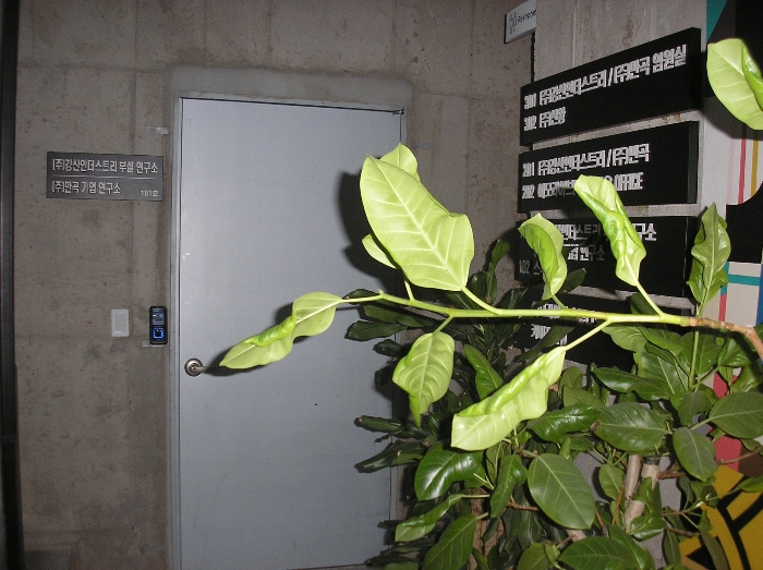 본건 기호2(가) 1층