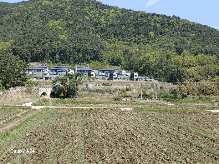 본건 전경