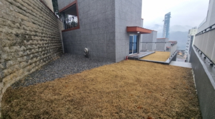 목록 1. 토지(안쪽에서 진입로쪽을 본 모습)