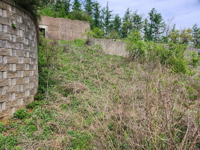 본건 기호(4) 전경
(남측촬영)