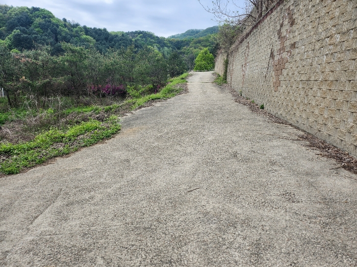 본건 기호(8) 전경
(동측촬영)
