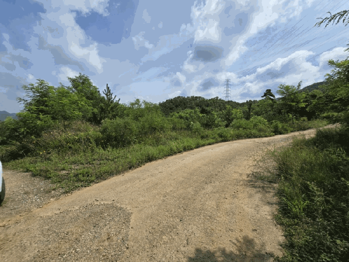 감정서 표지사진