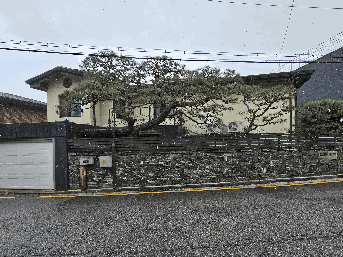 본건 전경(북서