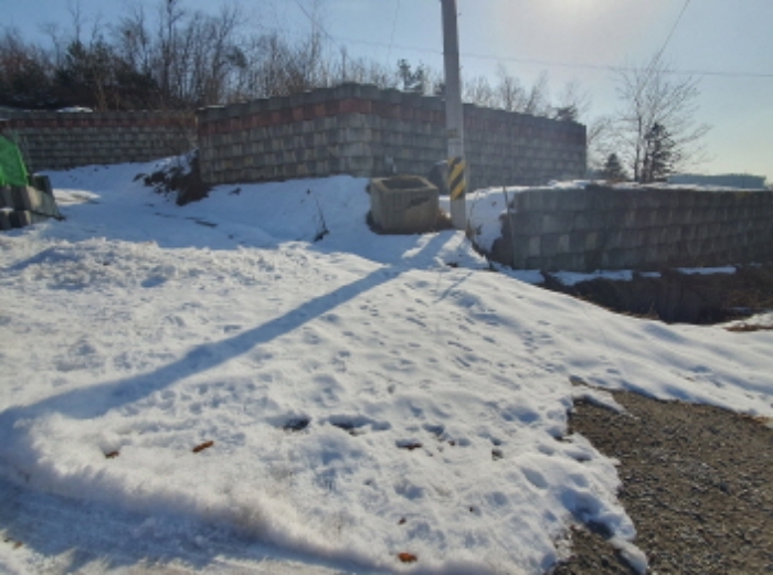 현장사진(토지 전경)