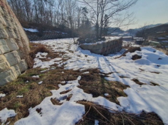 현장사진(토지 전경)