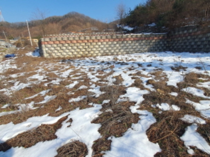 현장사진(토지 전경)