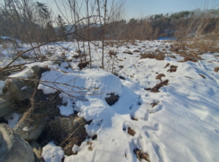 현장사진(토지 전경)