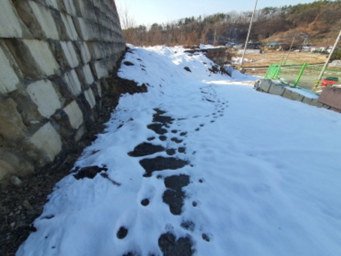 현장사진(토지: 신촌리 14-15 도로 전경)